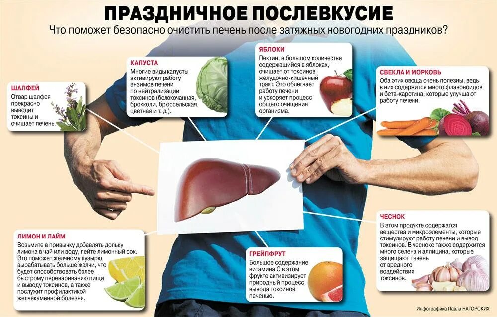 Очистка организма после. Печень после праздников. Как очистить печень.