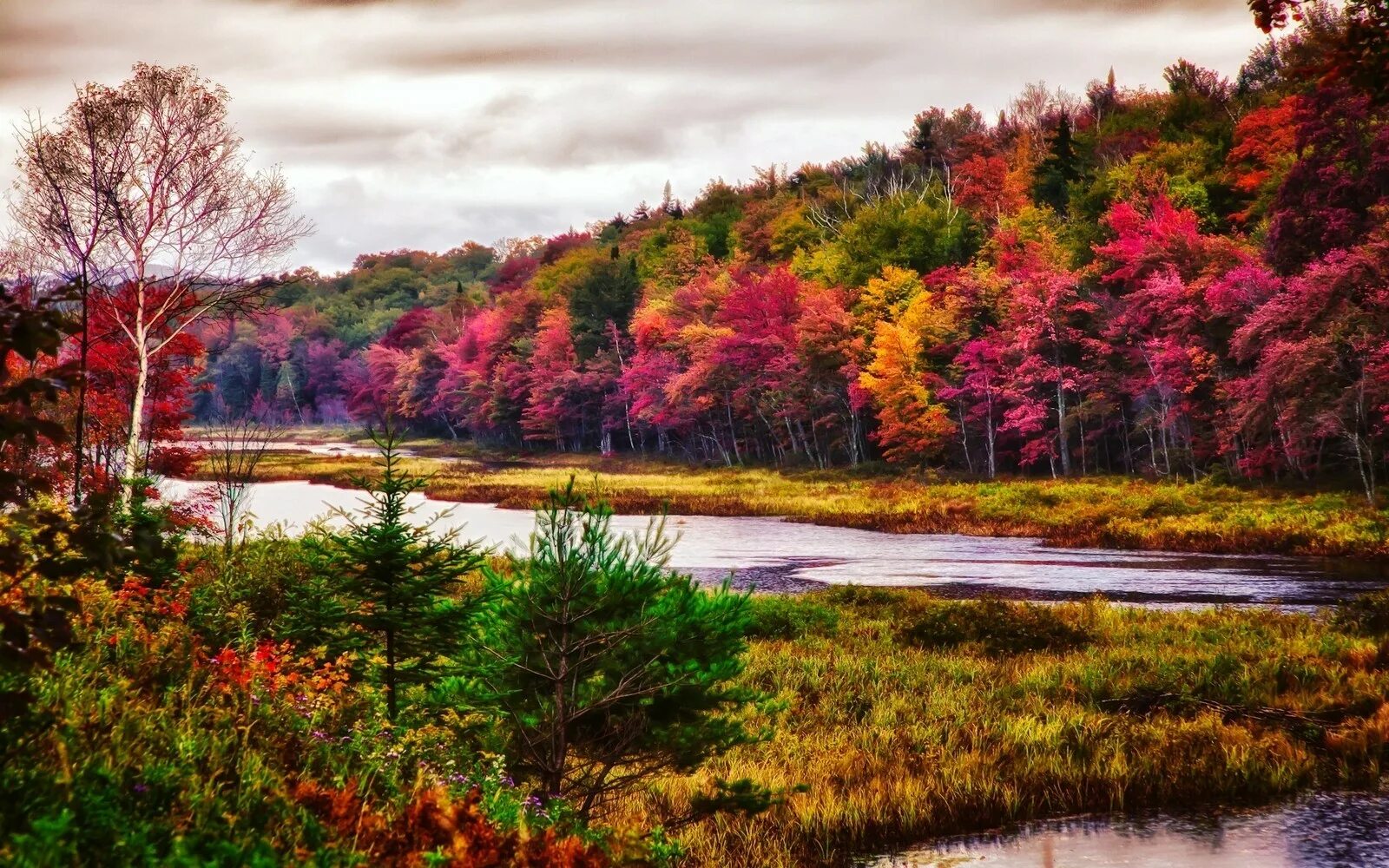 Яркая природа. Яркие краски природы. Красивая яркая природа. Яркий пейзаж. Красочные пейзажи