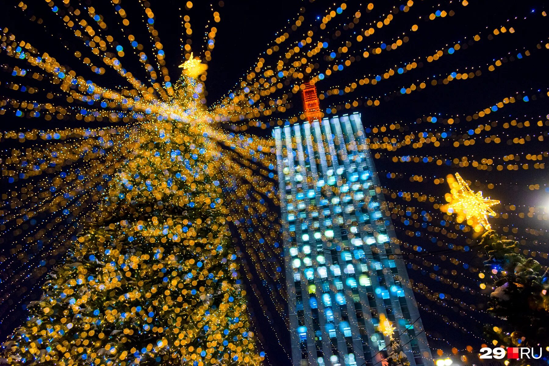 елка архангельск 2020. елка в архангельском 2022 новогодняя. новогодний архангельск. елка в архангельске 2024. центральная елка в архангельске 2020.