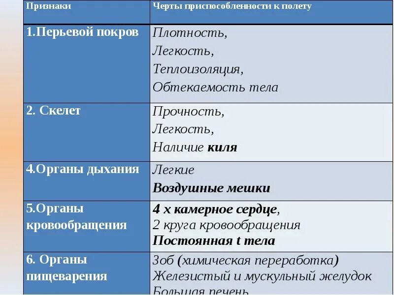 Черты приспособления птиц. Приспособление птиц к полету таблица. Признаки приспособления птиц к полету. Черты приспособления к полету. Основные приспособления птиц к полету