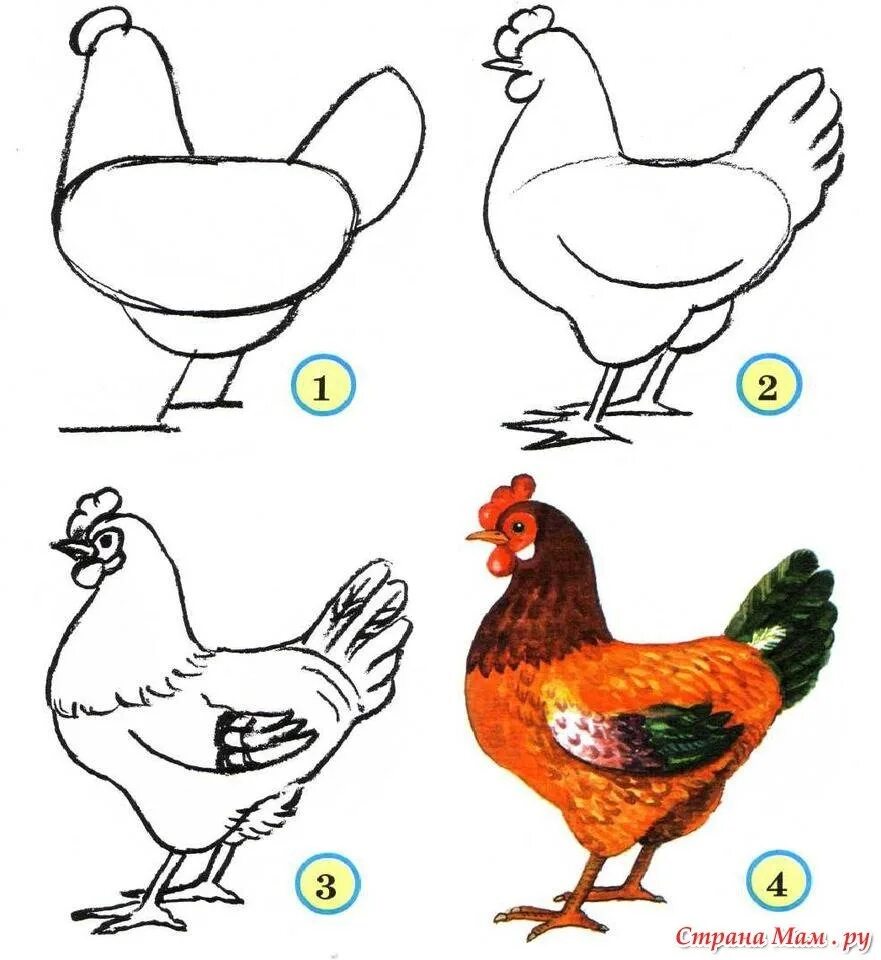 Поэтапное рисование курицы. Рисование домашние птицы. Рисунок курицы для срисовки. Как нарисовать курицу поэтапно.