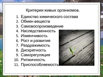 10 критериев жизни