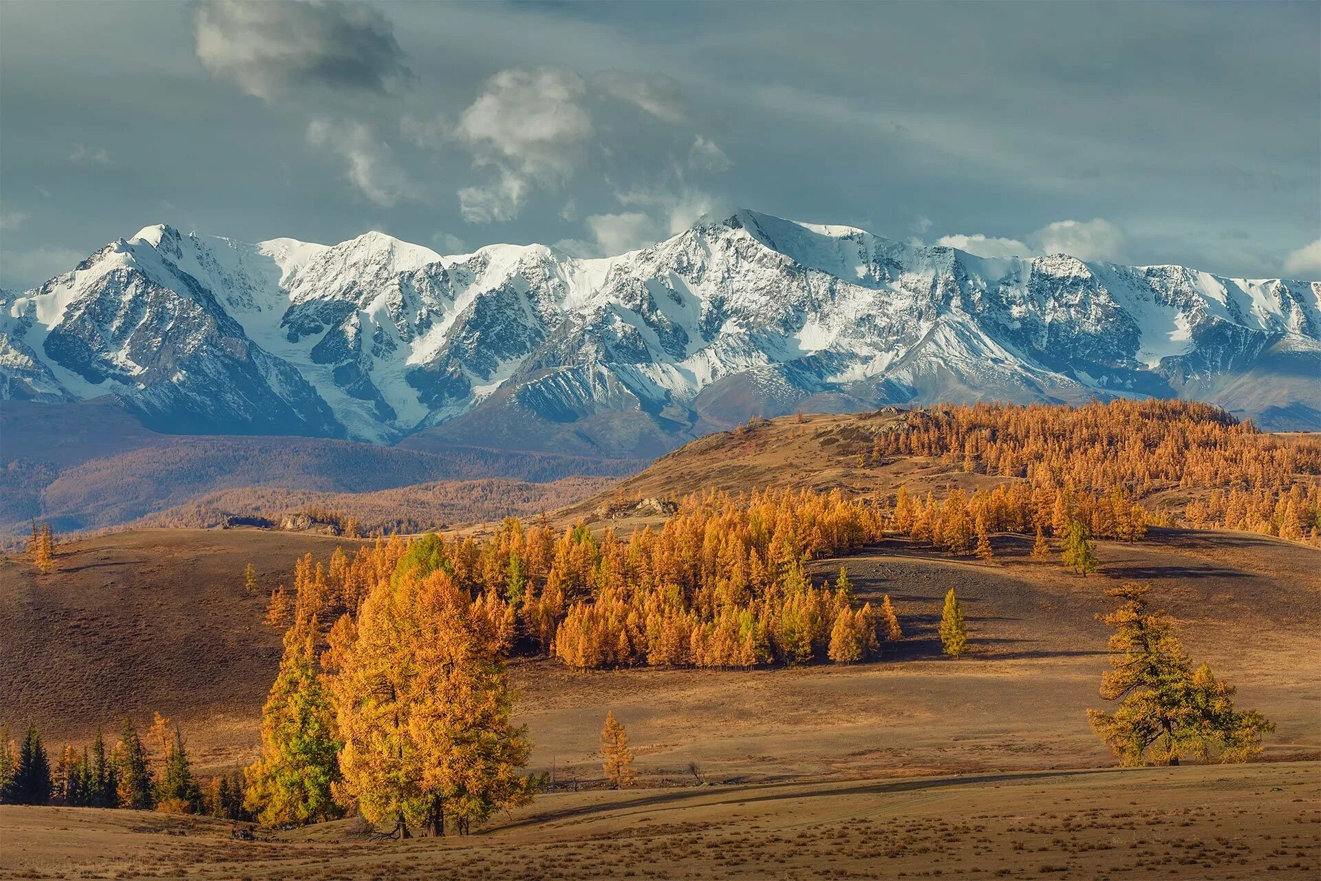 Алтайская осень. Лесостепь в золотых горах алтая. Алтайская осень. Катунь осенью горный алтай. Чуйский тракт золотая осень.