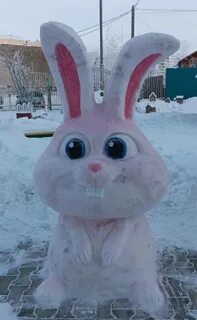 Ледяной заяц