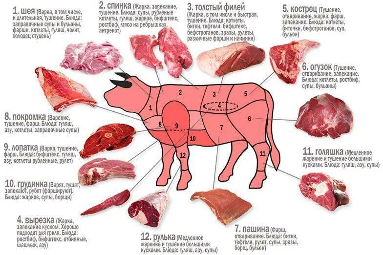 Свинья шея где находится. Название частей мяса говядины. Говядина части туши названия. Классическая схема разруба говяжьей туши. Части туши коровы схема.