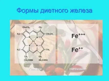 Химическая формула железы