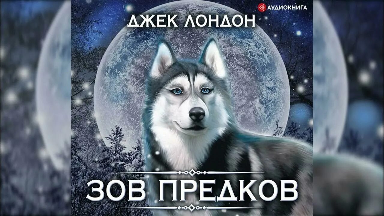 Зов предков ставрополь 2025. Джек лондон &quot;зов предков&quot;. зов предков джек лондон книга. зов предков аудиокнига баталов.