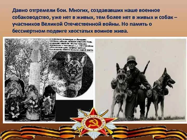 Стих синий платочек. Стихи о войне пока память жива. Пролетели года отгремели бои. Стихи про войну отгремели давно. Отгремели давно.