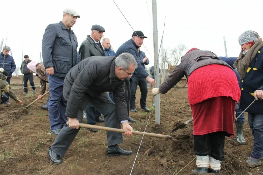 Цициг село Сулейман Стальский. Минмелиоводхоз Махачкала руководитель. Директор: «Хунзахский филиал» ФГБУ «Минмелиоводхоз РД». Курбанов Залкип Магомедович ФГБУ Минмелиоводхоз РД. Погода село маршанское