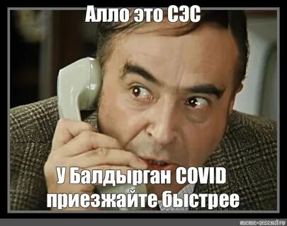 Света сосед
