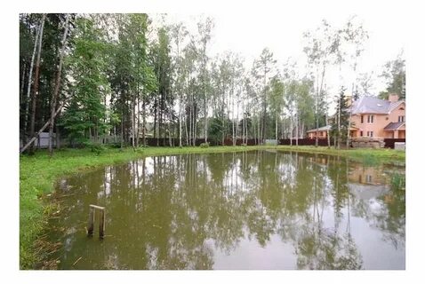 Поселок лесные озера отзывы