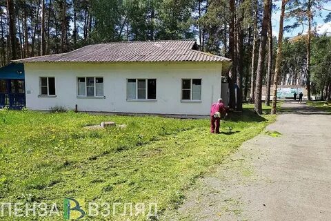 Лагерь белка