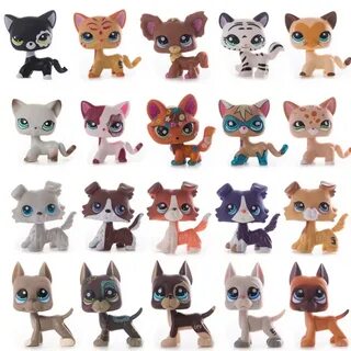 Кошка pet shop