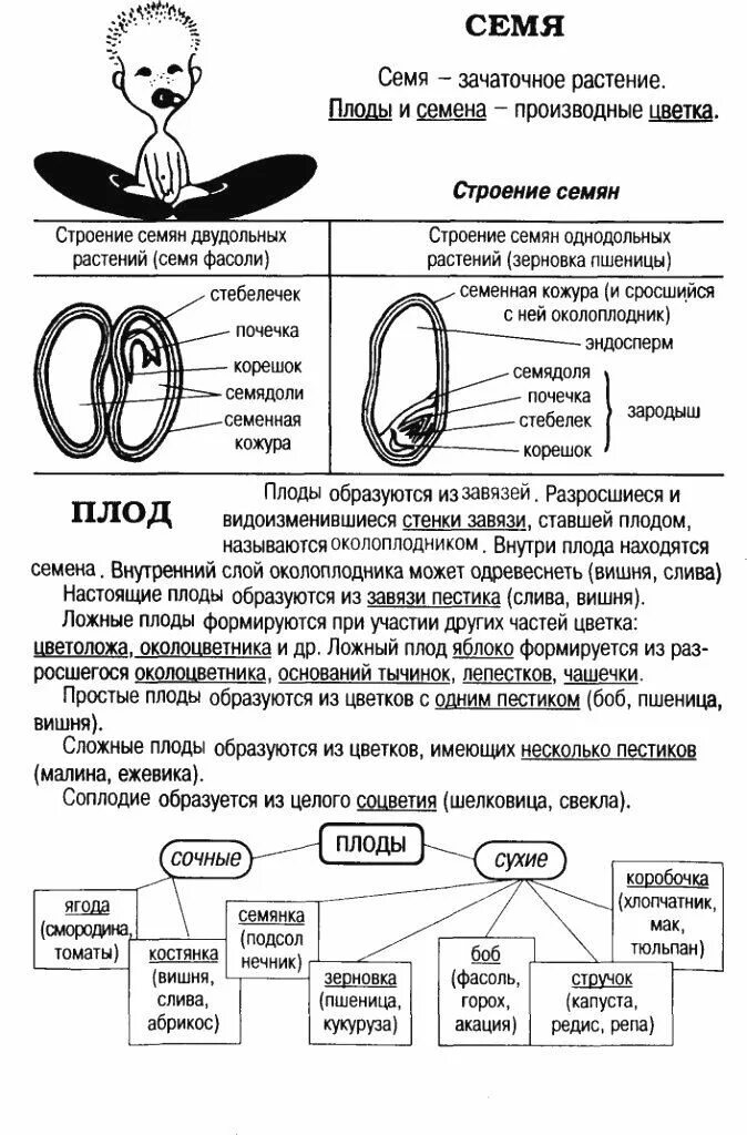 Класс подготовка егэ биологии. Биология 6 класс в таблицах и схемах. Конспекты по биологии для подготовки к ОГЭ. Схемы по биологии для ЕГЭ. Таблицы для ЕГЭ по биологии.