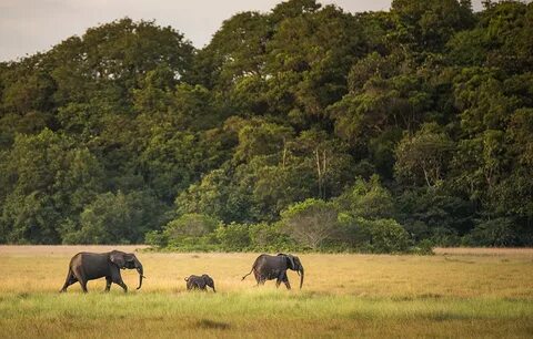 Gabon