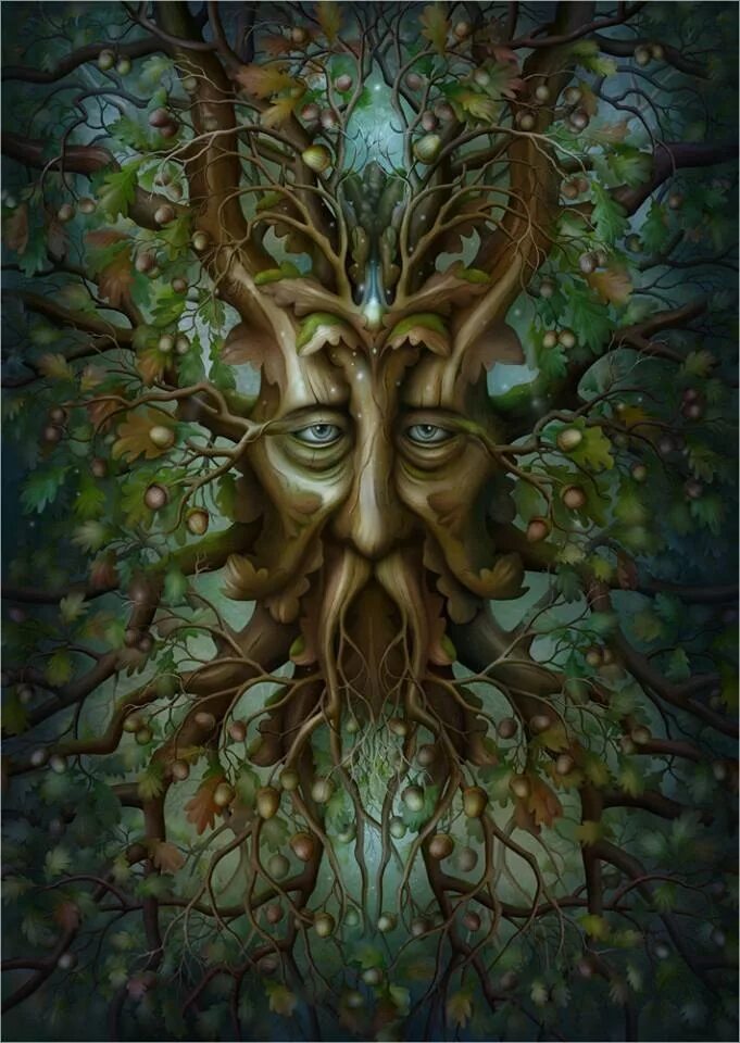 Картинки лицо дерево. Лесные духи. Дух леса. Дух дерева. Дух природы.