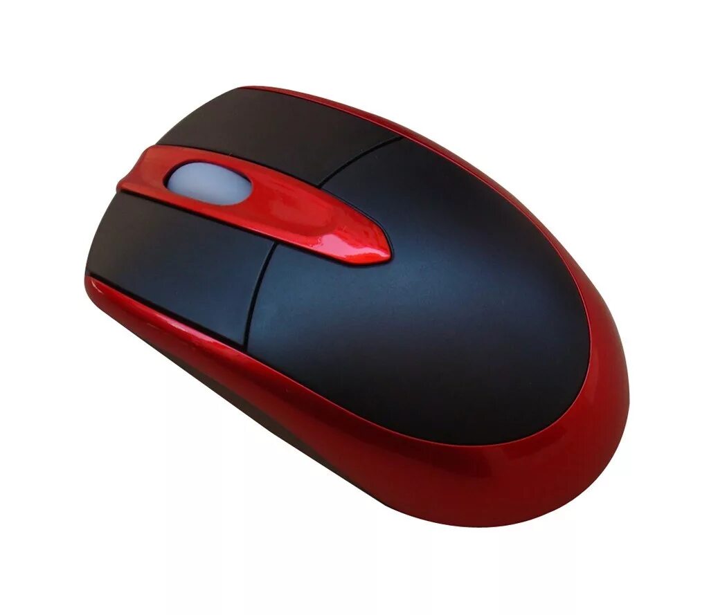 G2 mouse. Мышь компьютерная. Мышь компьютера. Мышка для компьютера. Компютернаямышь.