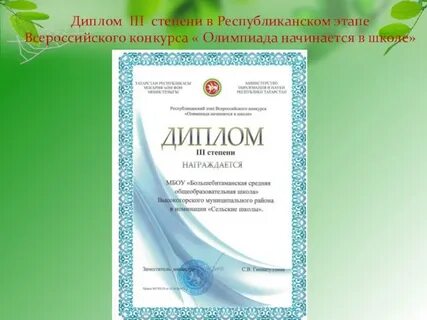 Тройки в дипломе