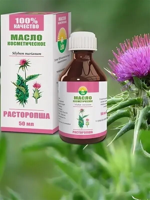 Расторопша. Расторопша для чего применяется растение. Расторопша полезные св-ва. Расторопша в народной медицине. Расторопша пятнистая плоды.