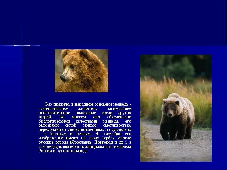 Неофициальный символ россии медведь. Неофициальные символы России. Неофициальные символы России медведь. Медведь символ России презентация. Неофициальные символы России медведь для детей.