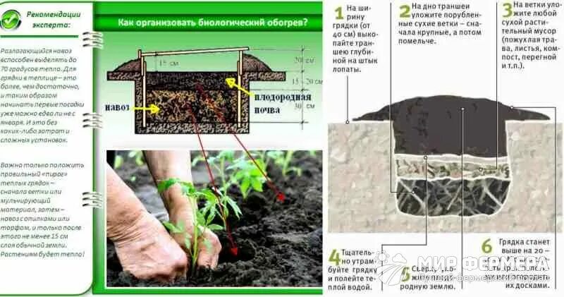 Какая земля нужна огурцам