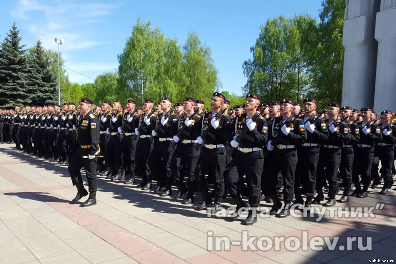 Сайт короле. Сайт короле
