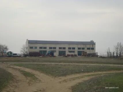 Погода в петрунино камышинский