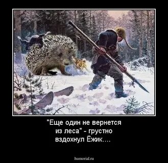 Следуй за ежом