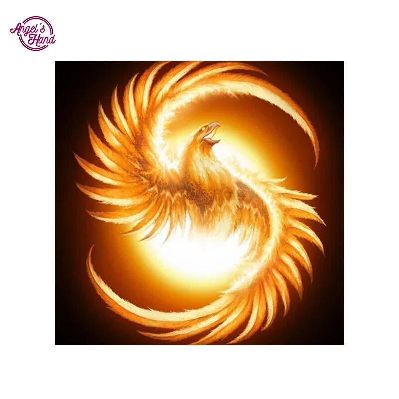 Phoenix forums