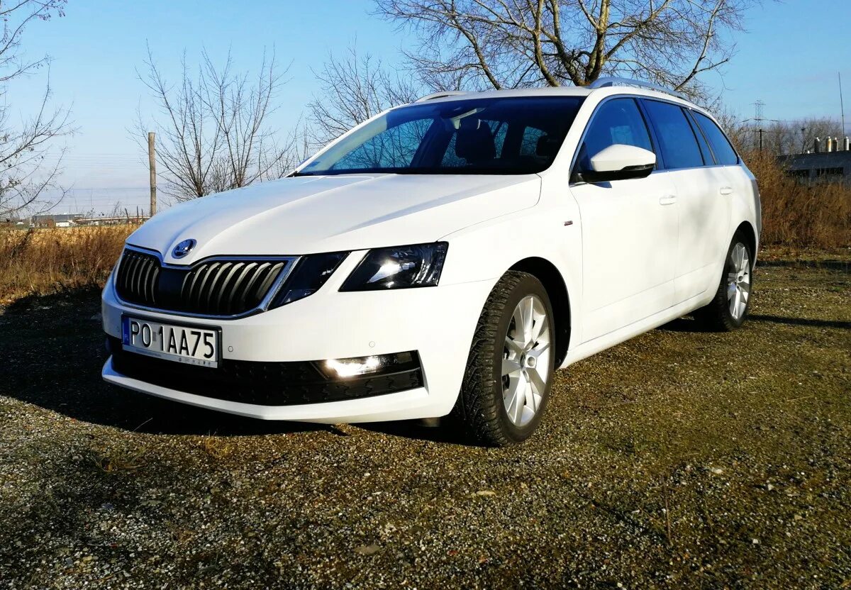 Авито купить б у шкода. Skoda Octavia Combi 1.0 TSI. Skoda Octavia 2019.