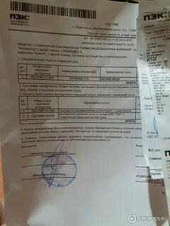 Пэк транспортная отзывы