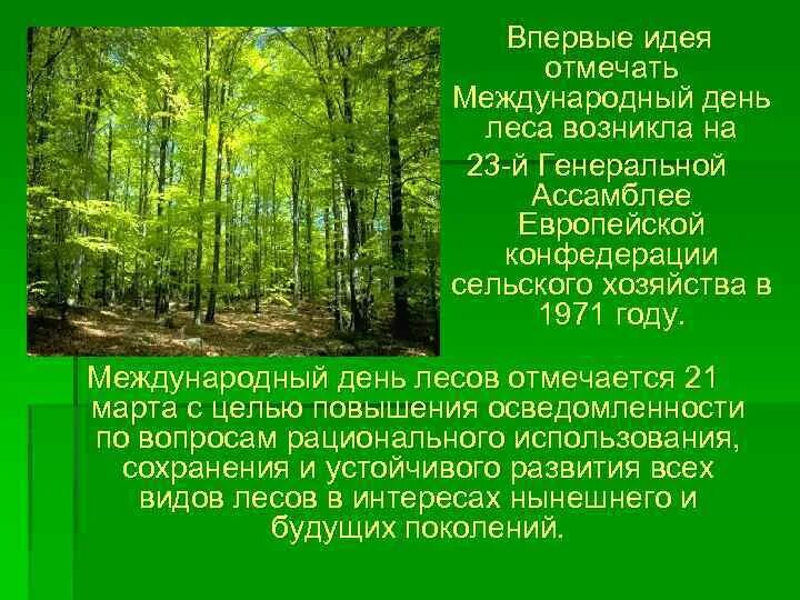 Международный день лесов. Международныйдерь лесов. Международный день леса доклад.