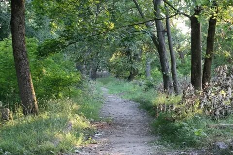 Веселая роща