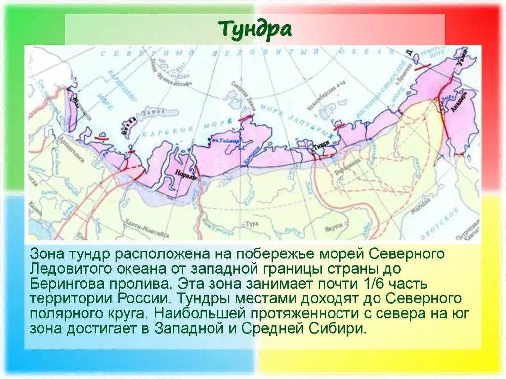 Зона тундр в основном расположена в