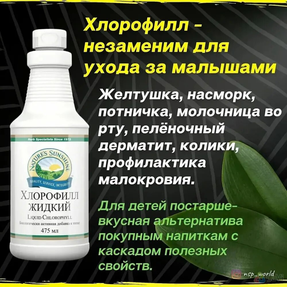 Хлорофилл нсп жидкий раствор для приема внутрь. Хлорофилл жидкий НСП. Жидкий хлорофилл NSP. Хлорофилл от НСП. Хлорофилл для детей.
