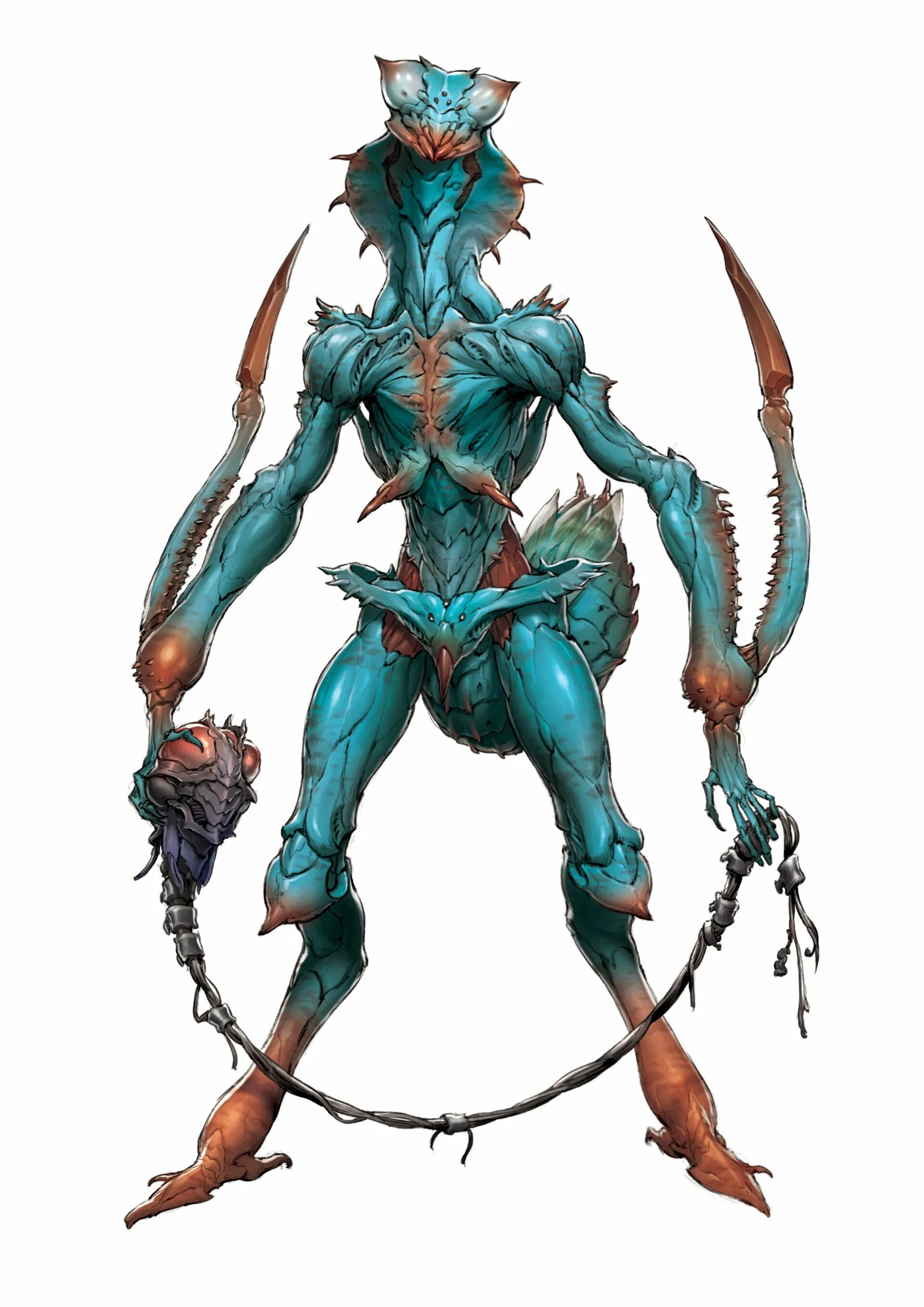 Гуманоид днд. Гуманоид днд. Рыболюды днд. Веркрыса днд. Гуманоид днд.