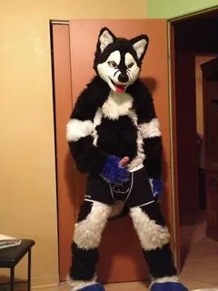 Slideshow gay mursuiting.