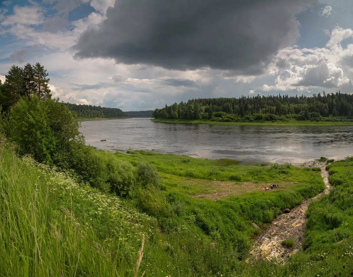 Онега архангельской обл. Река Онега Каргополь. Река Онега в городе Онега. Архангельская область природа река Онега. Архангельск Онега река.