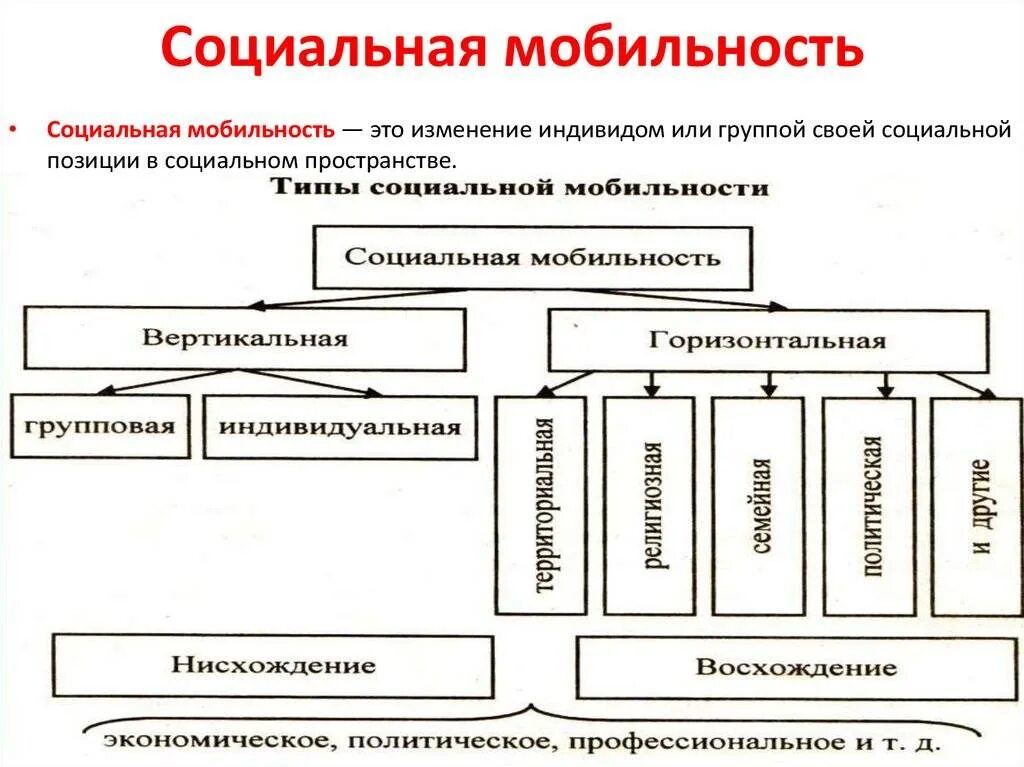 2 основных типа социальной мобильности. Виды социальной мобильности. виды социальной мобильности с примерами. виды социальной мобильности таблица. социальная мобильность таблица.