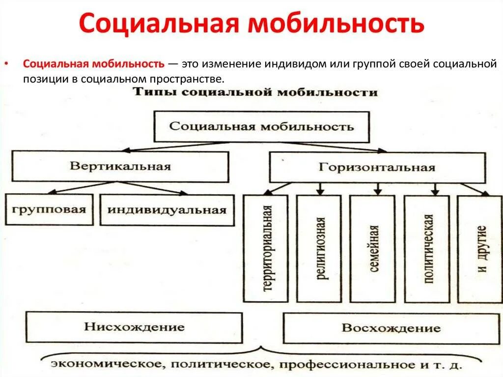 Формы мобильности в обществе. Виды социальной мобильности. ТИТИПЫ социальной мобильности. Виды социальной мобильности таблица. Виды социальной мобильности с примерами.