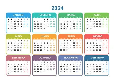 Сетка 2024