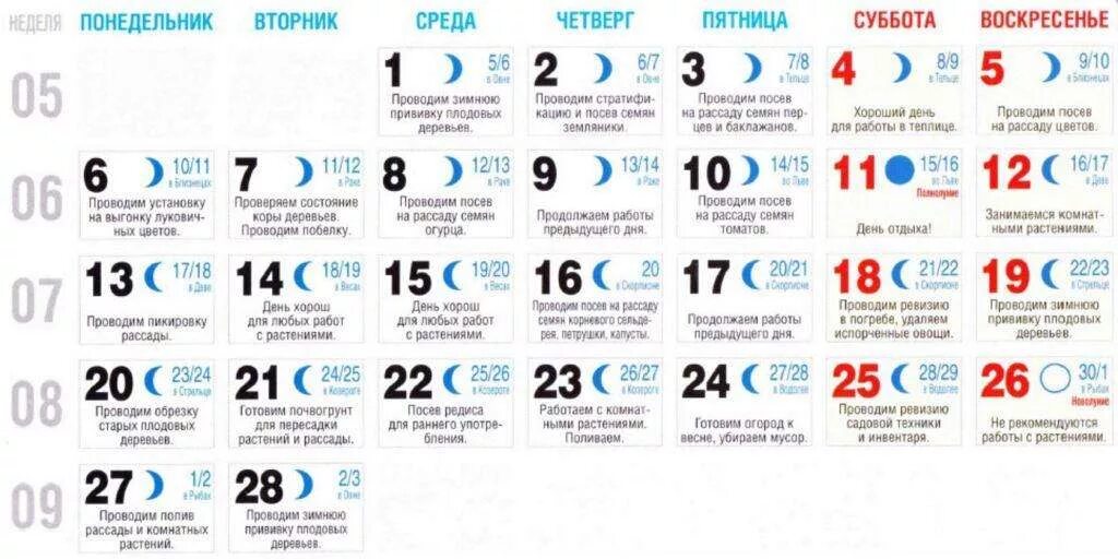 Посадочные дни цветов на рассаду в марте. Лунный календарь на март. Лунный календарь на март месяц. Благоприятные дни для рассады в марте 2022 года. Благоприятные дни для посадки в 2023 году.