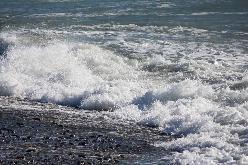 Сколько вода в море в сочи. Сочи море. Сочи зимой море. Сочи море и снег. Море в Сочи сейчас.