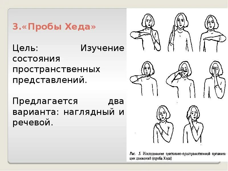 Проба Хэда на пространственный Праксис. Проба Хэда нейропсихология. Пространственный Праксис (пробы Хеда).. Речевой вариант пробы Хеда.