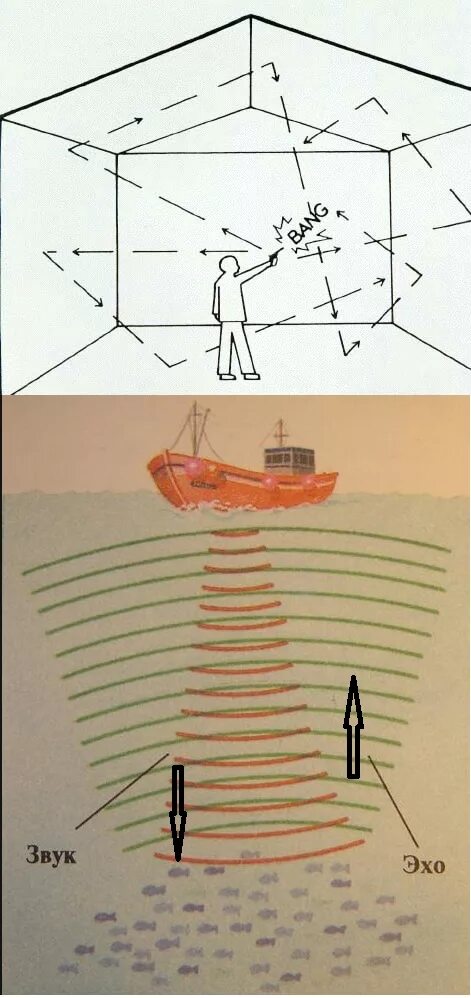 Отражение звука. Отражение звука от поверхностей. Распространение и отражение звука. Отражение звука Эхо. Отражение звука от преграды