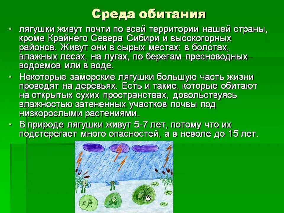 Среда обитания лягушки
