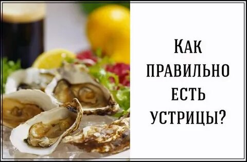 Став устрица