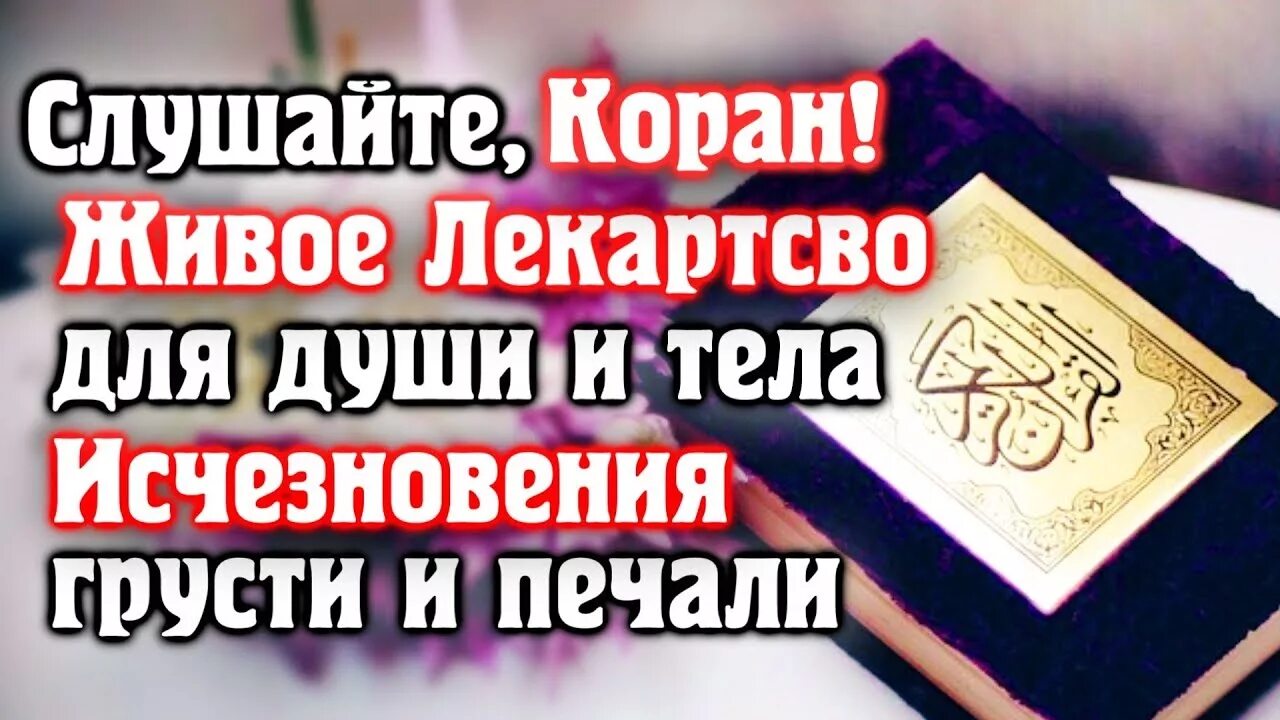 Слушать куран. Успокаивающий коран. Красивьо чтерие карана. Слушать куран. Коран для успокоения.