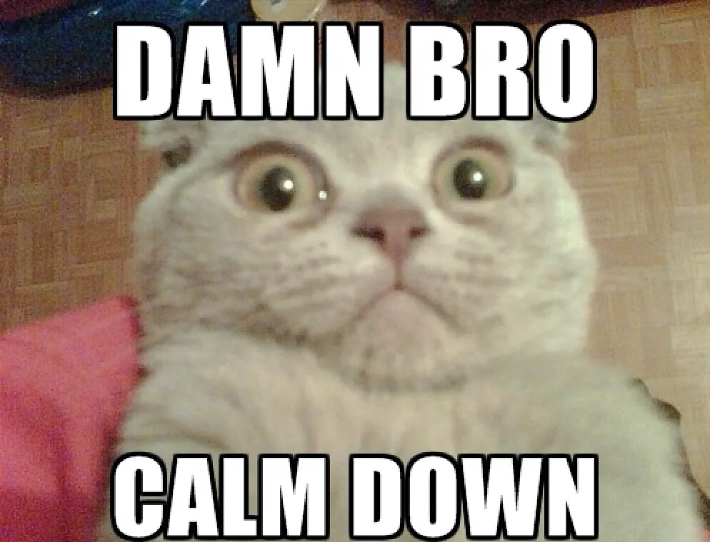 Calm down easy. Calm down. calm down мем. дэмн бро.