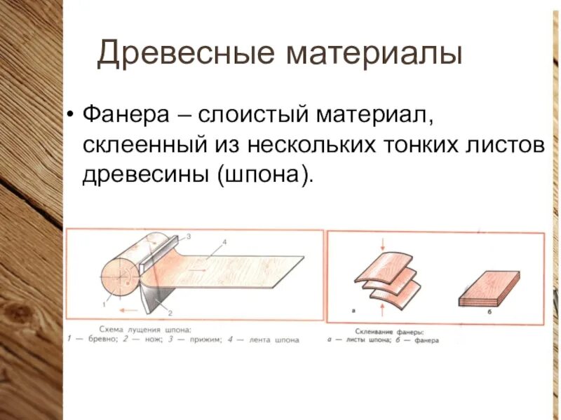 Склеивание тонких листов шпона. Брус осина. Вяз гладкий (ulmus laevis). Лист древесины 6 букв. Дерево тонкое листовое.